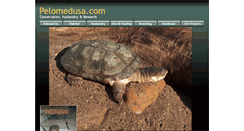 Desktop Screenshot of pelomedusa.com